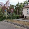 Vetar oborio granu u krugu UKC Kragujevac, prolaz blokiran