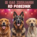 NAJAVA: III CAC izložba pasa u Zrenjaninu 19. aprila – kinološki spektakl na izletištu „Motel“ 🐕🏆 III CAC izložba pasa…