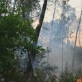 Optužen i pritvoren muškarac zbog više namerno izazvanih požara na jugu Francuske