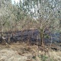 Požar u Grgurevcima: Vatra se približila dvorištima, meštani reagovali do dolaska vatrogasaca