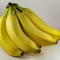 Evo kako je nastao izraz "Banana država"