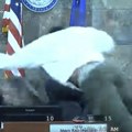 SAD: Skočio preko stola na sudiju tokom izricanja presude (VIDEO)