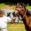 Tradicija jača i od granica – Vidovdanski sabor „Gorava Krajčinovići“ okuplja ljude iz tri države