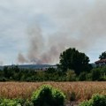 Bukte požari širom krajine: Gori u Tamniču, između Rečke i Čubre i potes Zlatnog brda
