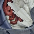 Nadležni organi kod Vranja zaplenjuju sudžuk i svečane haljine FOTO