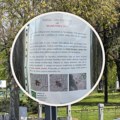 (Foto) "Ovo što leti, to su mamutske ose!" U parku u centru Beograda osvanulo nesvakidašnje upozorenje, evo šta treba da znate…