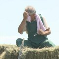 Dok je grad pod klimom, oni na +40 ne staju Radovin otkrio surovu istinu o životu na selu: Slika govori sve
