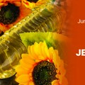 InFokus jun 2025: Jestivo ulje