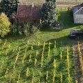 Salaš u srcu Bačke čeka nove vlasnike: Nezagađena zemlja, voćnjaci i vinogradi po ceni manje garsonjere