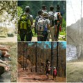 Po ugledu na japance i korejce, uvele i komšije Terapije šumom integrisane u slovenački nastavni program lek za anksioznost…