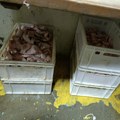 Zaplena više od osam tona nebezbednog mesa u okolini Sombora: Uhapšeno odgovorno lice firme „Mesokomerc“