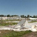 Posle oluje Mašići iz Mrđenovca kod Šapca ostali bez plastenika