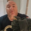 Zatvarajte ulazna vrata! Najveća otrovnica ušla u kuću u Vranju: Objavljen snimak od kog se diže kosa na glavi