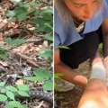 Mislila je da je staza bezbedna, a onda je osetila oštar bol u nozi! Nakon 25 minuta počela je borba za život (video)
