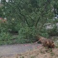 Vetar čupao drveće: Snažno nevreme pogodilo Hrvatsku (foto)