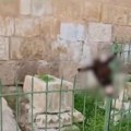 Fanatični Jevrej objesio magareću glavu na muslimanskom mezarju u blizini džamije Al-Aksa