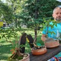Profesor biologije Srđan Arsić pretvara u bonsai zakržljale izdanke bukve, bresta, javoar, jasena, fikusa…