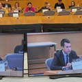 Veselinović: U Evropskom parlamentu smo ponovili da je neophodna nezavisna međunarodna istraga