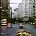 Na današnji dan te davne ’61. U Beogradu je zavladala masovna histerija! Haos, guranje, morala i milicija da interveniše…