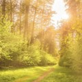Danas sunčano i toplo, temperatura do 31