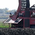 Poljoprivrednici: Prinosi šećerne repe prepolovljeni, čeka nas gubitak
