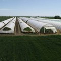 Poljoprivrednik Jordan postavio solarne panele na 6 plastenika: Uložio 1.500 evra, nema troškova godinama