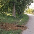 Ovog jutra – Novi Milanovac