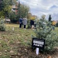 FOTO: Limanci zasadili 16 borića na mestu kod Štranda gde se planira crkva