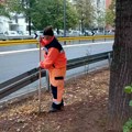 Održavanje javnih površina, uređenje kvartova