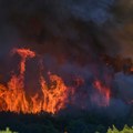 Buknuo veliki požar na granici Srbije i Hrvatske. Vatra zahvatila obe strane: vatrogasci na terenu.