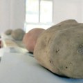 Dani ivanjičkog krompira u Katićima