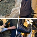 Pogledajte kako je uništena 1,4 tona droge u Obrenovcu