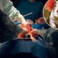 Svinja prvo škljoca zubima, pa kreće u napad: Može da nanase fatalne povrede, veterinar otkriva kako da se spasite od napada…