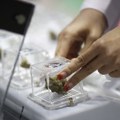 BiH legalizovala kanabis u medicinske svrhe