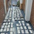 Istorijska zaplena u Novom Sadu: Otkriven ilegalni narko-pogon, zaplenjeno 107 kilograma droge