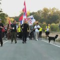 FOTO Tri studentske kolone iz različitih krajeva Srbije krenule ka Beogradu