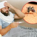 2 Osobe u Srbiji umrle posle uboda zaraženog komarca: Bolest u početku liči na prehladu ili grip ali ovi simptomi pale alarm