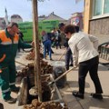 Grad Niš poziva kompanije da doniraju sadnice za zeleniji grad