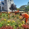 Nastavljeni radovi na uređenju grada – košenje, čišćenje i održavanje zelenih površina na više lokacija