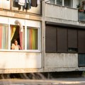 Roletne ili žaluzine? Stručnjaci razrešili večitu letnju dilemu: Razlika u hlađenju stana je duplo veća nego što mislite