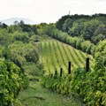 Preminuo Vitorio Freskobaldi, jedan od velikana italijanske vinske industrije