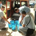 Dezinsekcija u stambenim zgradama u Leskovcu počinje danas