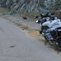 Policajac kod Bistrice spasao iznemoglog beloglavog supa