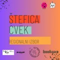 Proglašen regionalni književni izbor „Štefica Cvek“