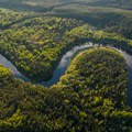 Bez zajedničkog dogovora osam zemalja o prestanku krčenja amazonske prašume