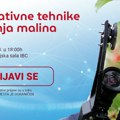 Inovacioni Biznis Centar Zlatibor- predavanja “Inovativno gajenje malina“