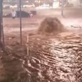 VIDEO Beograd u vodi: Automobili plivali, poplavljeni objekti, blokirani podzemni prolazi