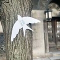 SSP: Sramota je što gradska vlast 3. maja poziva građane na nikad zabavniji dan