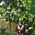 Seče drveće i čisti nered po dvorištu: Zavirite u novu kuću Dejana Dragojevića: Nećete verovati ko mu je prva komšinica