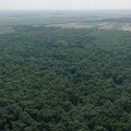 U deronje po lek za klimatske promene: U plavnoj šumi lužnjaka postavljena nova istraživačka oprema